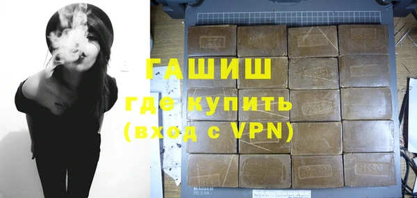 индика Няндома