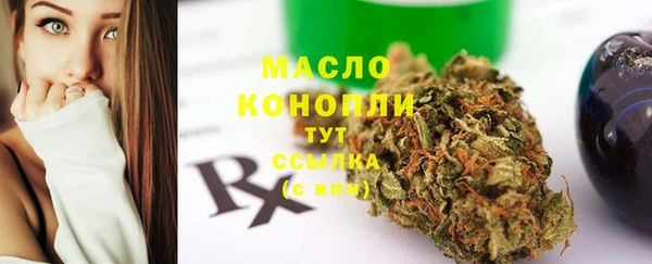 индика Няндома