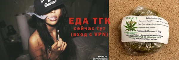 индика Няндома