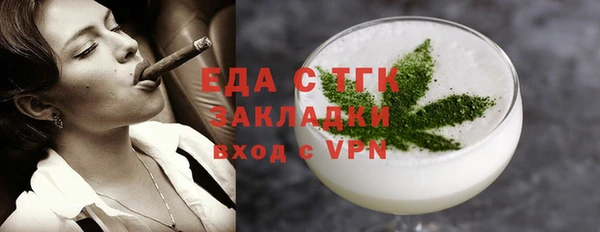 индика Великий Новгород