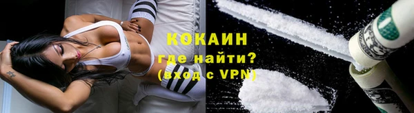 гашик Нягань