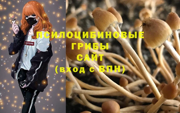 индика Няндома