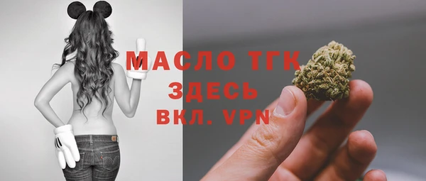 индика Няндома