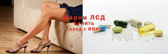 индика Няндома