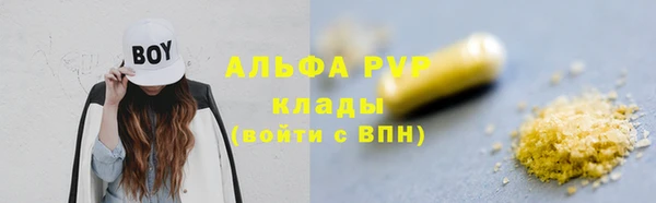 индика Няндома