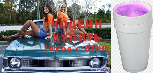 индика Няндома