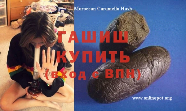 индика Няндома