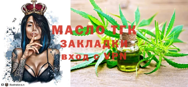 индика Няндома