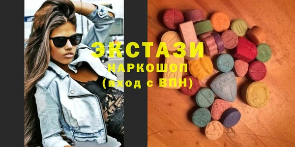 индика Няндома