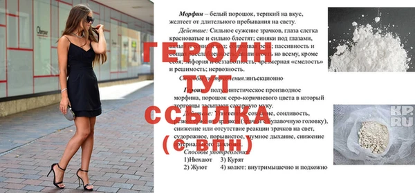 индика Няндома