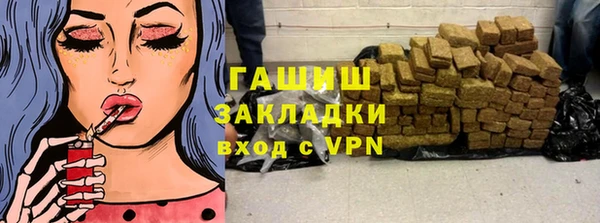 индика Няндома