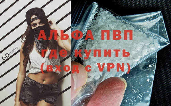 индика Няндома