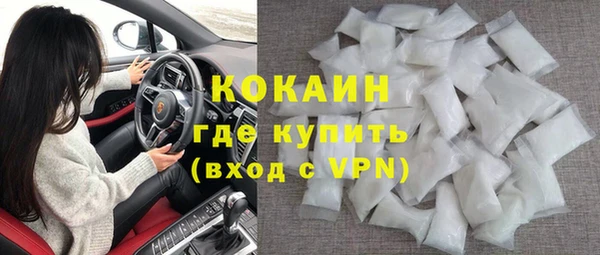индика Няндома
