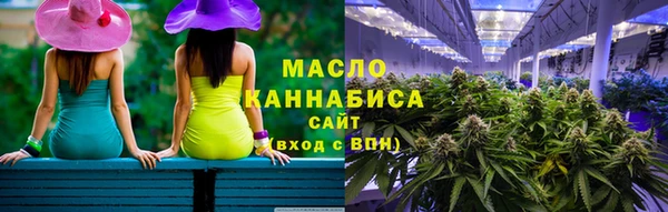 индика Няндома