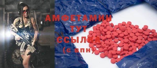 индика Няндома