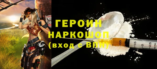 индика Няндома