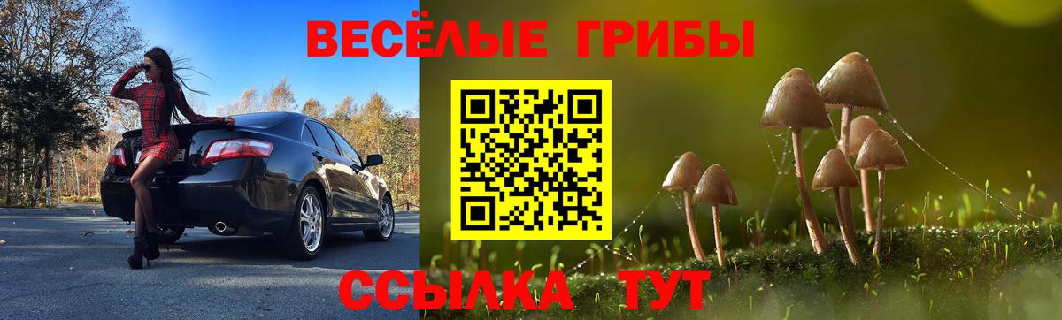 Шали  Псилоцибиновые грибы Cubensis  Вход с VPN 